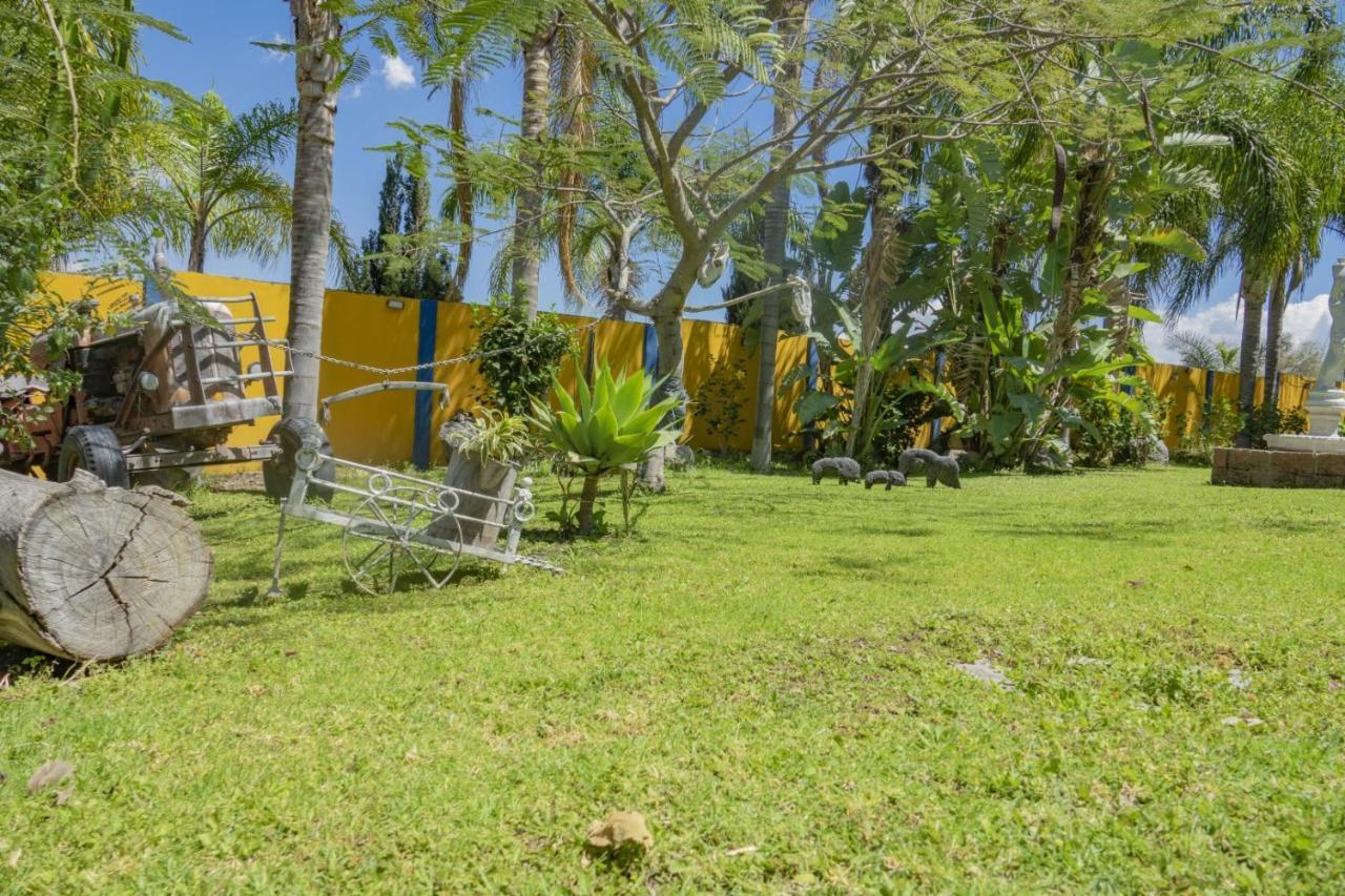 Hotel & Bungalows Las Palmas Villa Corona Exterior foto